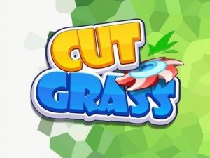 Garden Path Puzzle: Trim the Turf