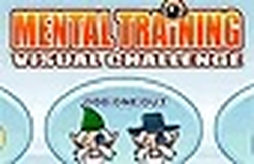 Visual Detail Detective Challenge