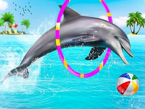 Dolphin Water Stunts Show Online Arcade Game