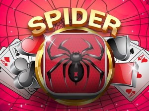 Spider Solitaire Plus Online Game Puzzle Game