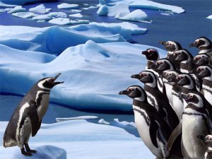 Penguins Slide Puzzle Game Online - Puzzle Game