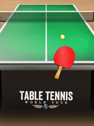 Table Tennis World Tour Sports Game - Sports Game